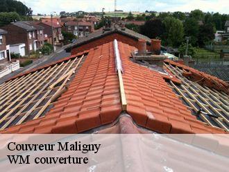 Couvreur maligny-21230 WM couverture