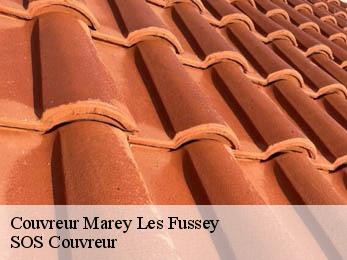 Couvreur 21700