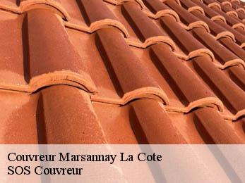 Couvreur 21160