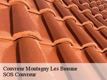 Couvreur 21200