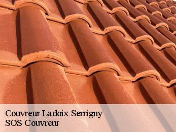 Couvreur  21550