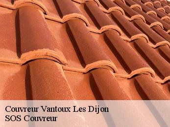 Couvreur  21380