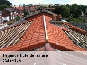 Urgence fuite de toiture Côte-d'Or 