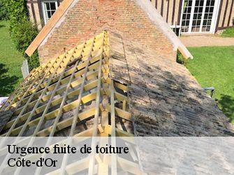 Urgence fuite de toiture Côte-d'Or