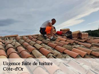 Urgence fuite de toiture Côte-d'Or