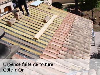 Urgence fuite de toiture