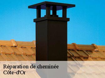 Réparation de cheminée Côte-d'Or