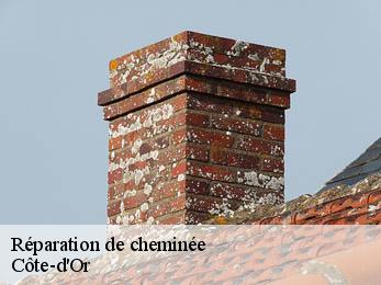 Réparation de cheminée