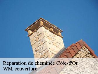 Réparation de cheminée Côte-d'Or 