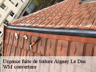 Urgence fuite de toiture  21510