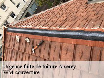 Urgence fuite de toiture  21110