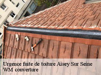 Urgence fuite de toiture  21400