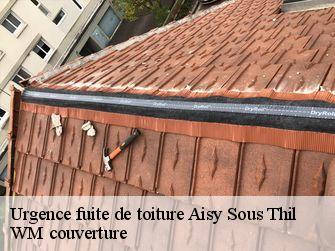 Urgence fuite de toiture 21390