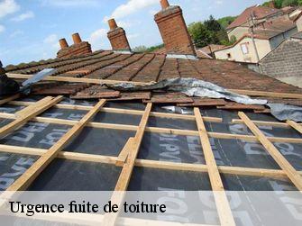 Urgence fuite de toiture  21390