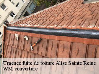 Urgence fuite de toiture  21150