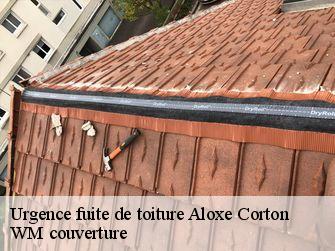 Urgence fuite de toiture  21420