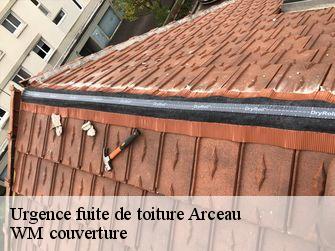 Urgence fuite de toiture  21310