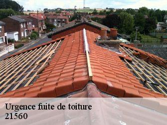 Urgence fuite de toiture  21560