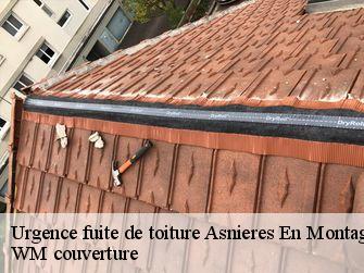 Urgence fuite de toiture  21500