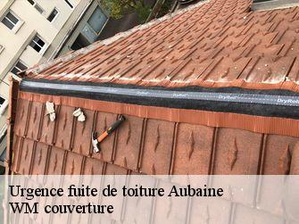 Urgence fuite de toiture  21360