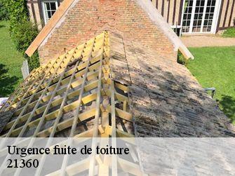 Urgence fuite de toiture  21360