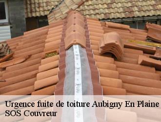 Urgence fuite de toiture aubigny-en-plaine-21170 SOS Couvreur