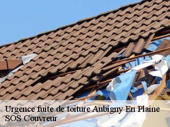 Urgence fuite de toiture 21170