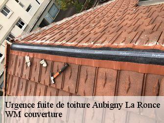 Urgence fuite de toiture  21340