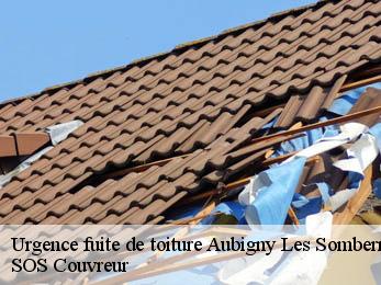 Urgence fuite de toiture  21540
