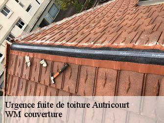 Urgence fuite de toiture  21570