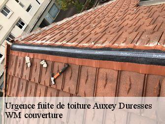 Urgence fuite de toiture  21190