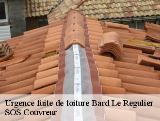 Urgence fuite de toiture  bard-le-regulier-21430 SOS Couvreur