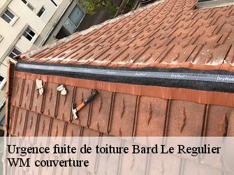 Urgence fuite de toiture 21430
