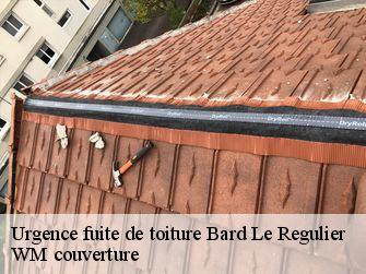 Urgence fuite de toiture  21430