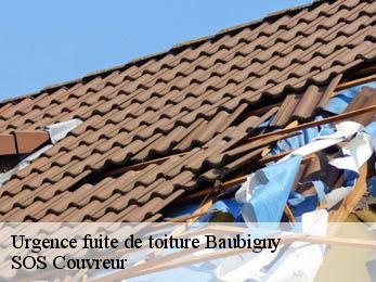 Urgence fuite de toiture 21340