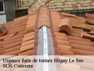 Urgence fuite de toiture bligny-le-sec-21440 SOS Couvreur