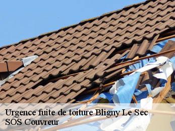 Urgence fuite de toiture 21440