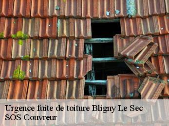 Urgence fuite de toiture