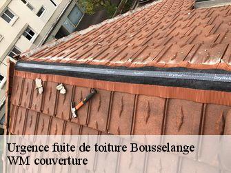 Urgence fuite de toiture  21250