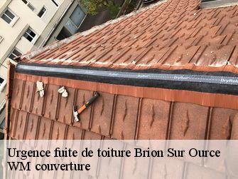Urgence fuite de toiture 21570