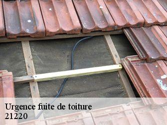 Urgence fuite de toiture