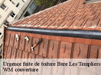 Urgence fuite de toiture 21290