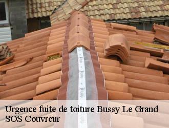 Urgence fuite de toiture bussy-le-grand-21150 SOS Couvreur