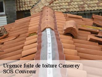 Urgence fuite de toiture censerey-21430 SOS Couvreur