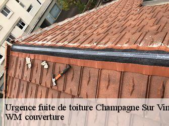 Urgence fuite de toiture  21310