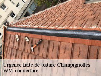 Urgence fuite de toiture  21230