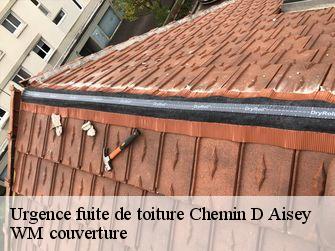 Urgence fuite de toiture  21400