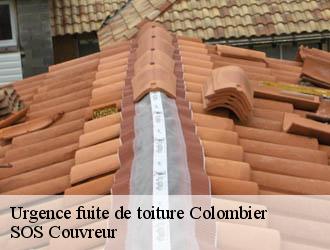 Urgence fuite de toiture colombier-21360 SOS Couvreur