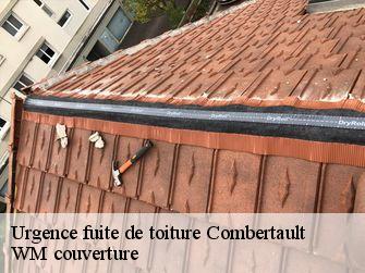 Urgence fuite de toiture 21200