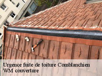 Urgence fuite de toiture 21700
